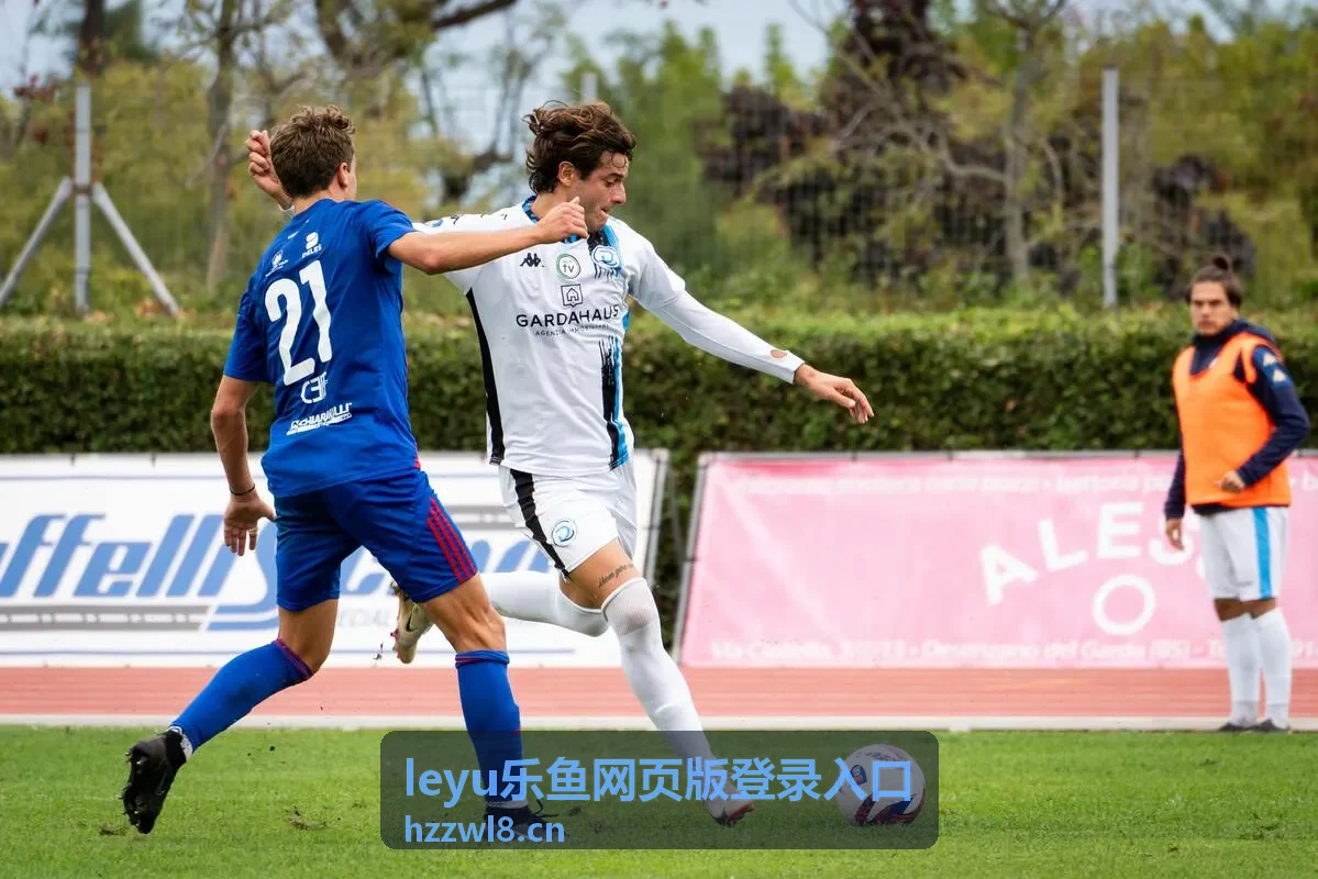 leyu乐鱼网页版登录入口 - 账号安全保护示意图