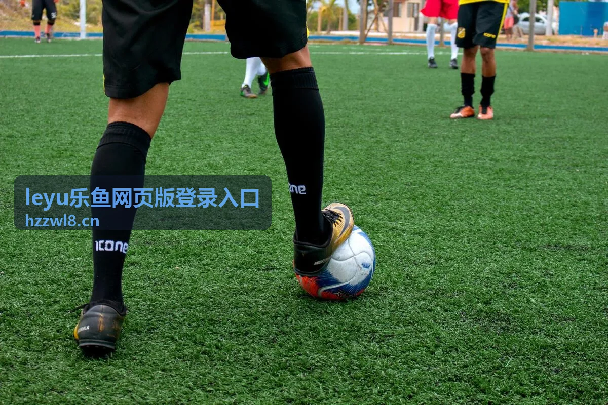 leyu乐鱼网页版登录入口 - 常见问题排查示意图
